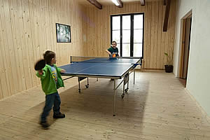 Mlýnhotel - stolní tenis